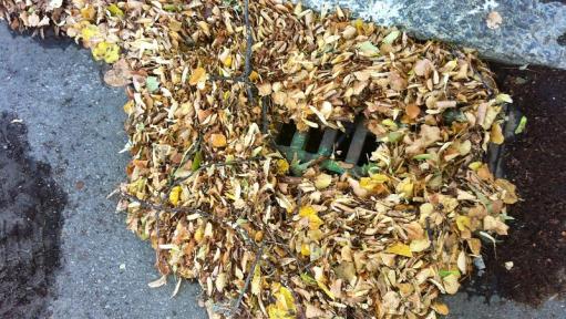 Clogged sewer drain