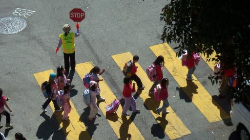 School Crossing Guard