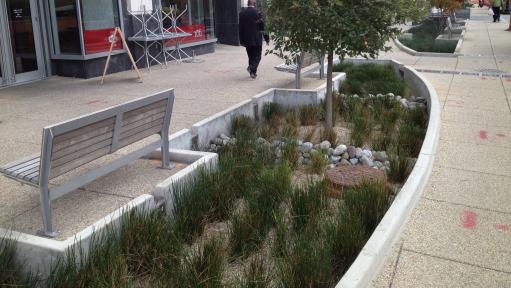 Bioswale