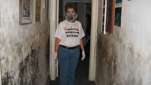 Mold Remediation