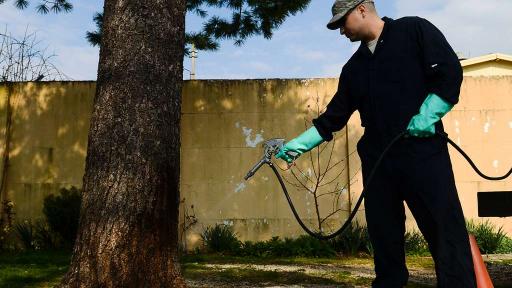 Spraying for pests