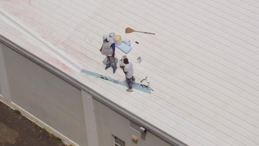 White Roof